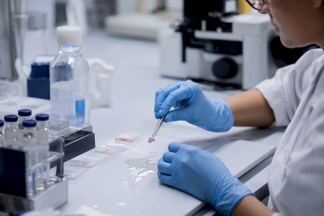 Dermatopathology Timing: 2–3 Days, 7 Qs for Patients & Clinicians