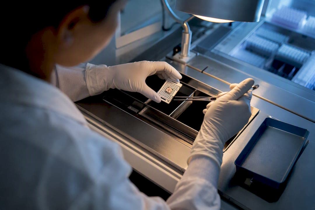 2–7 Days for Most Biopsy Results: What Patients Should Ask