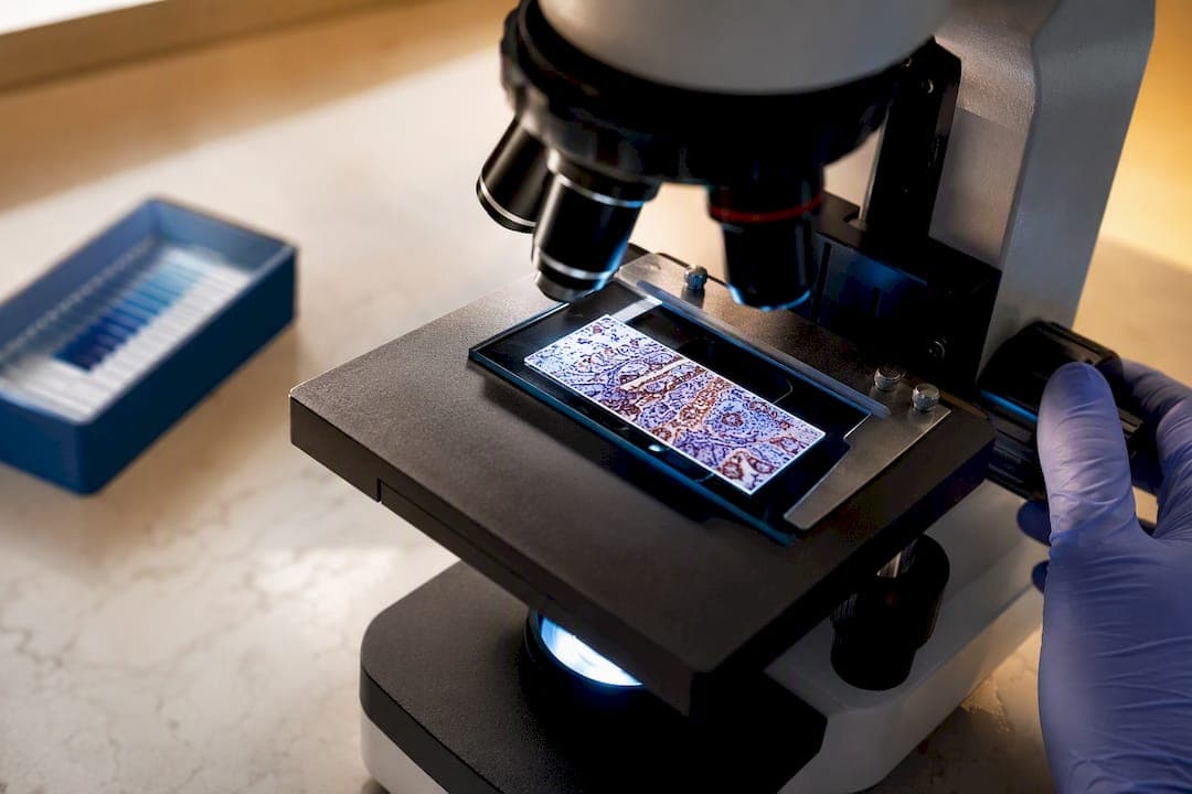24 Hour Fixation Matters: Immunohistochemistry for Clinicians